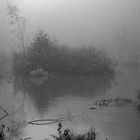 Waldteich im Nebel