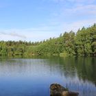 Waldteich in der Nähe von Eschede