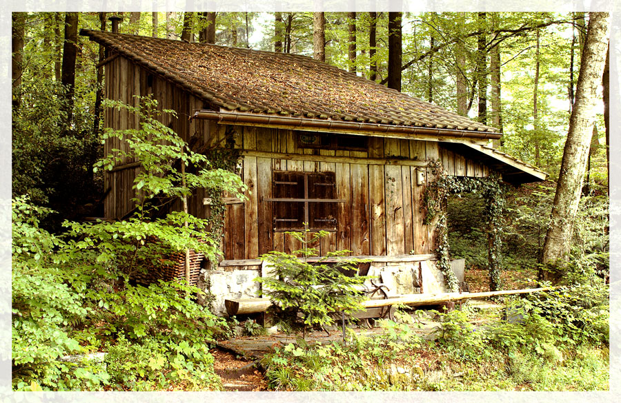 Waldütte vom Horgner Berg