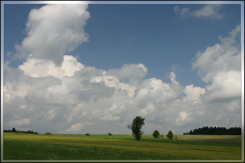 Waldviertel