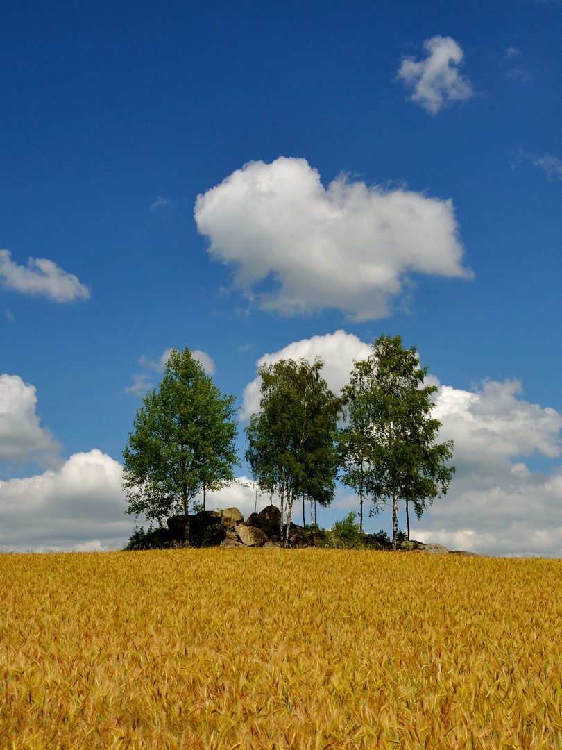 Waldviertel