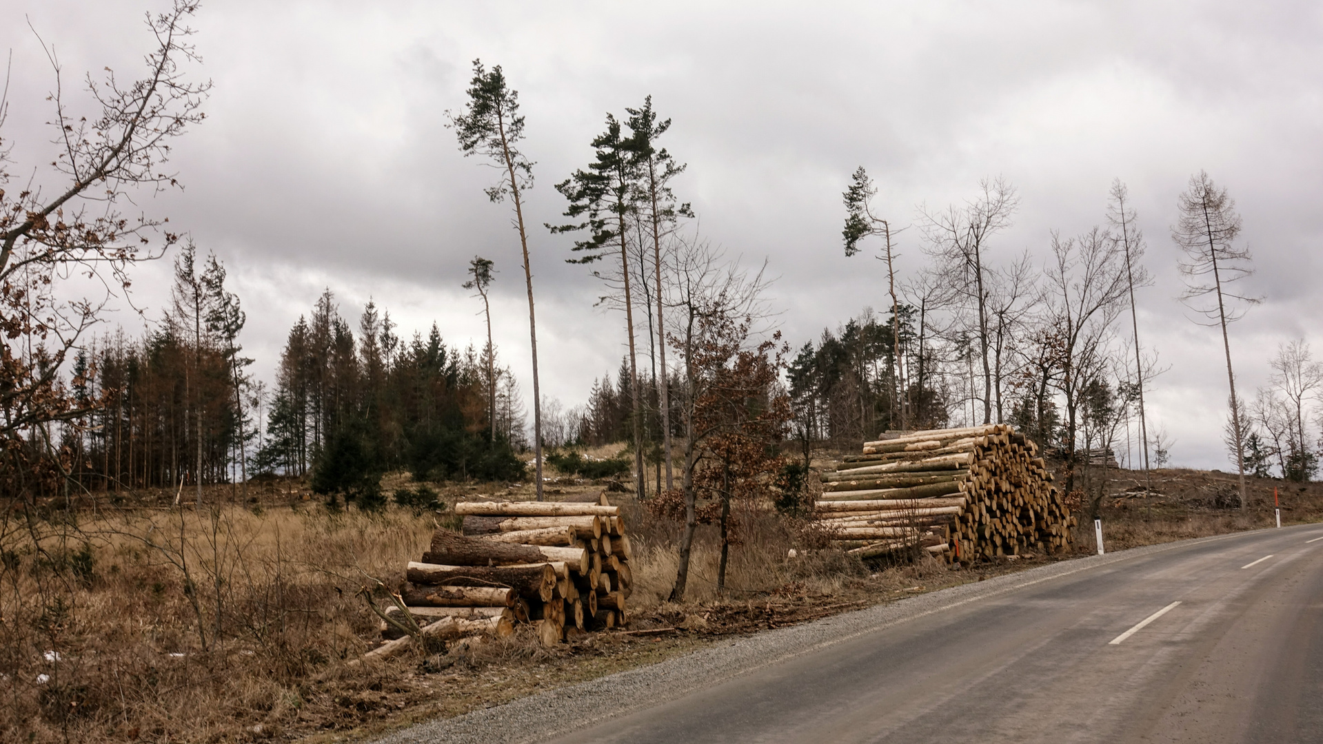 Waldviertel aktuell