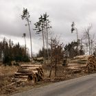 Waldviertel aktuell