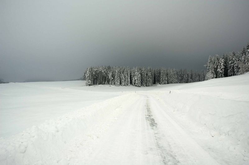 Waldviertel