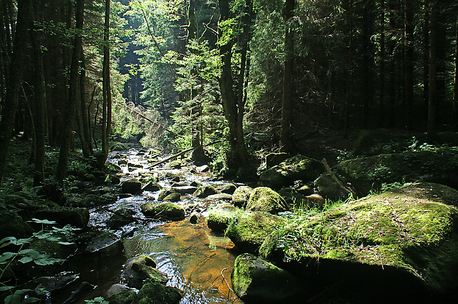 Waldviertel