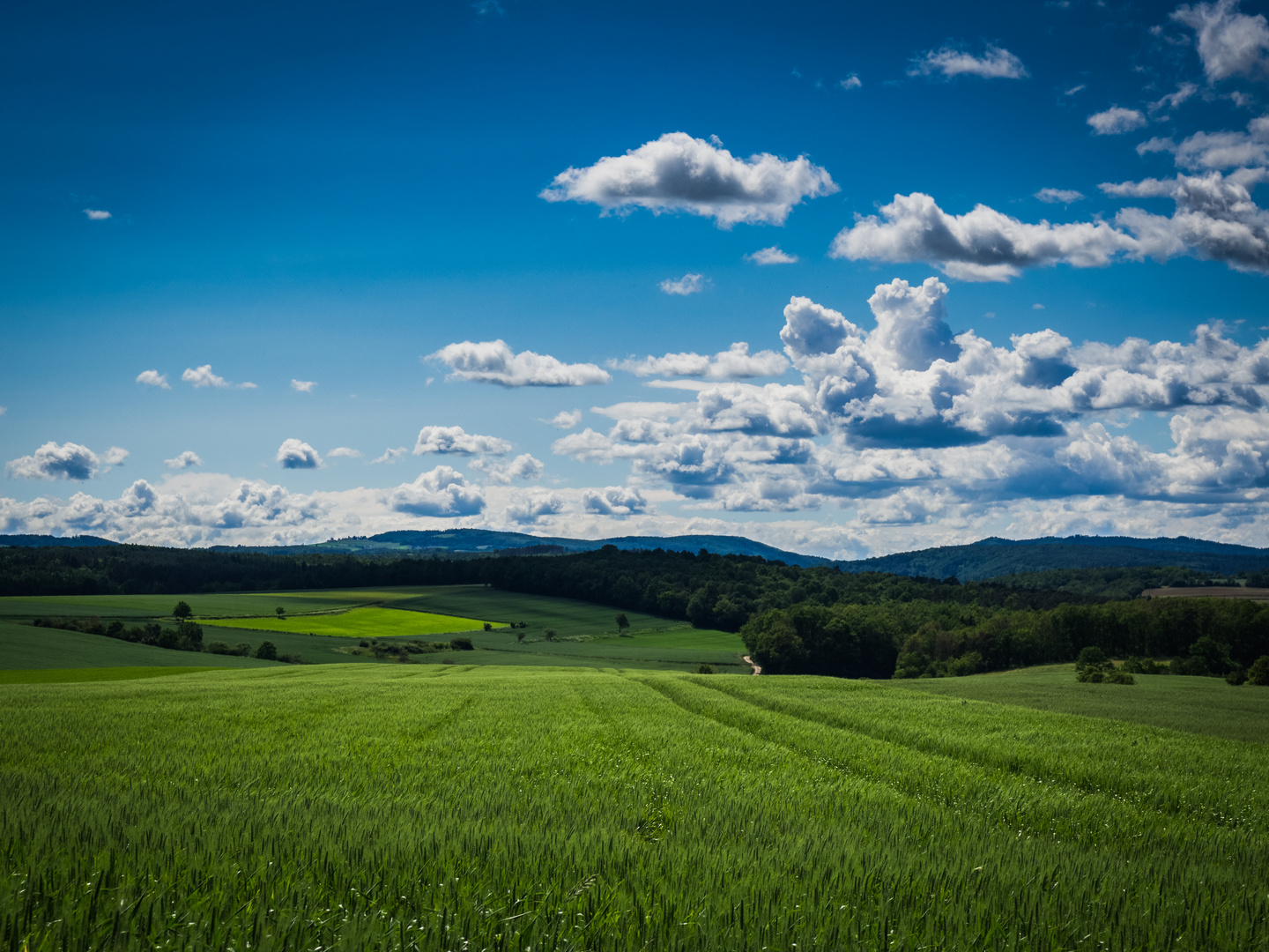 Waldviertel