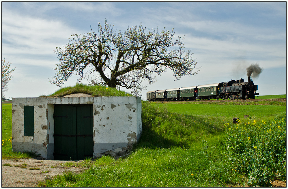 Waldviertel-Elegie V