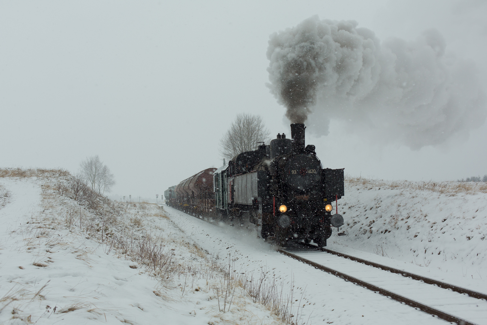 Waldviertel im dichten Schneetreiben