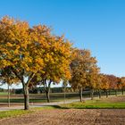 Waldviertel im Herbst