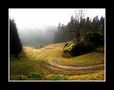 Waldviertel im Herbst von Helga Schneider