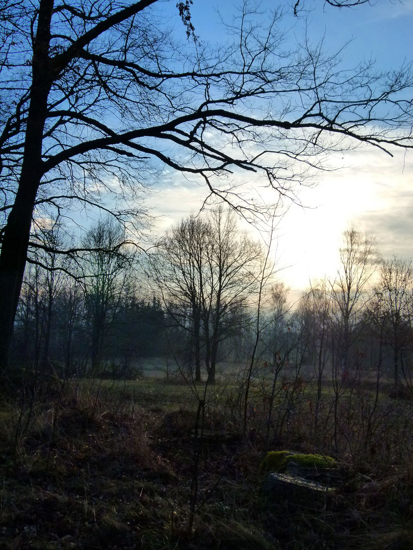 Waldviertel im Winter