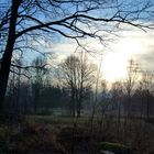 Waldviertel im Winter