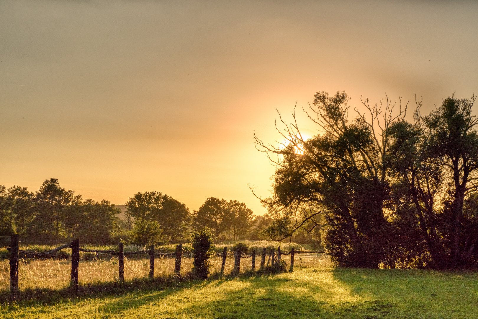 Waldviertel Impression