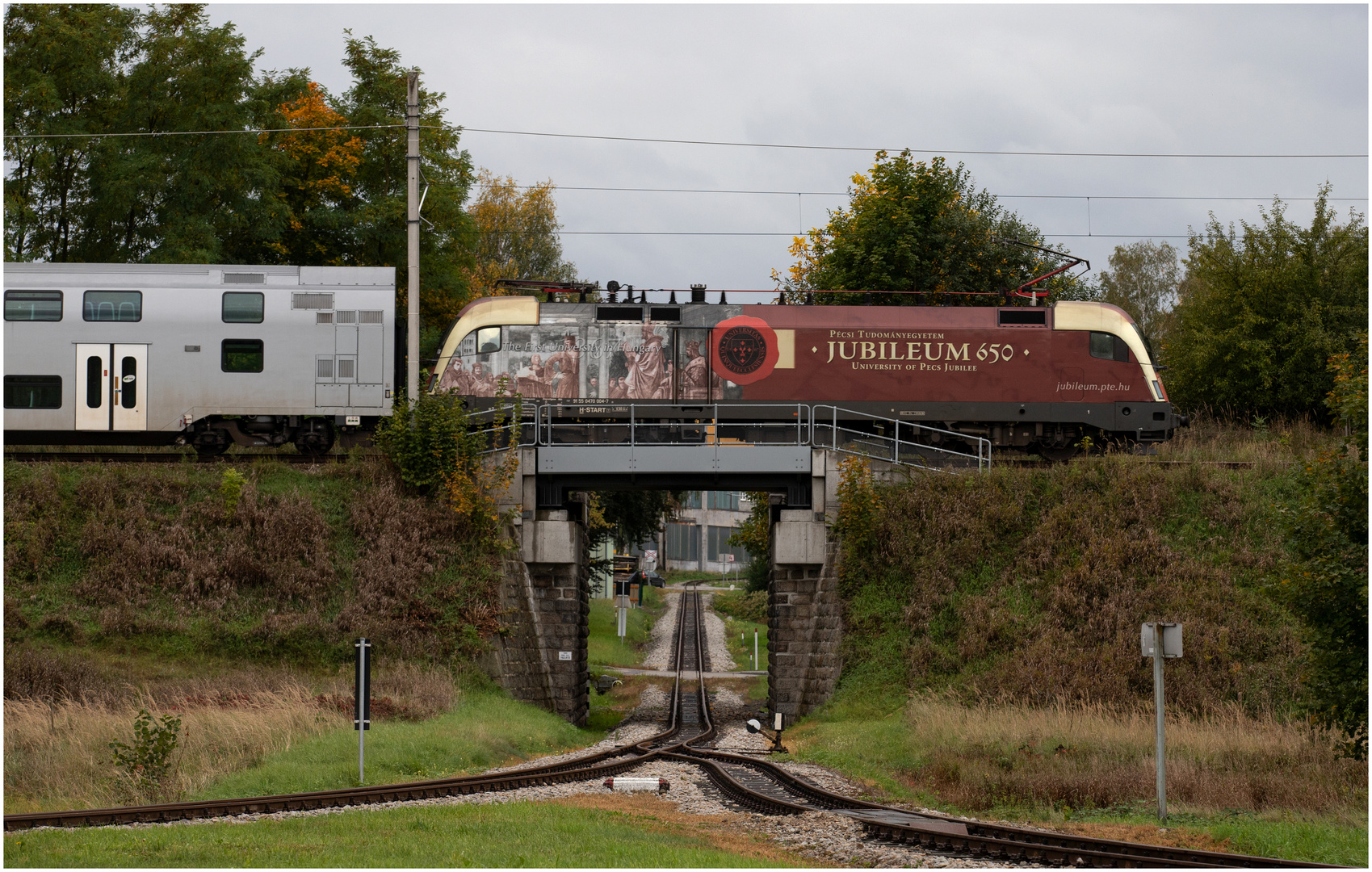 Waldviertelbahn Durchblick