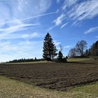 Waldvierteler Himmel