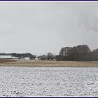 Waldviertelpanorama I