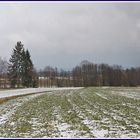 Waldviertelpanorama II