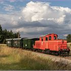 Waldviertelsommer V