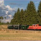 Waldviertelsommer VI