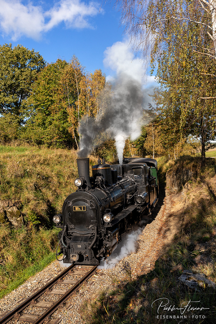 Waldviertler Herbst (19)