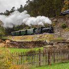 Waldviertler Herbst 2021 (15)