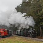 Waldviertler Herbst 2021 (19)