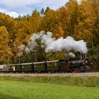 Waldviertler Herbst 2021 (26)