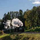 Waldviertler Herbst 2021 (4)