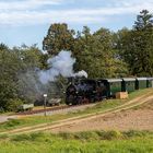 Waldviertler Herbst 2021 (5)