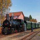 Waldviertler Herbst 2021 (6)