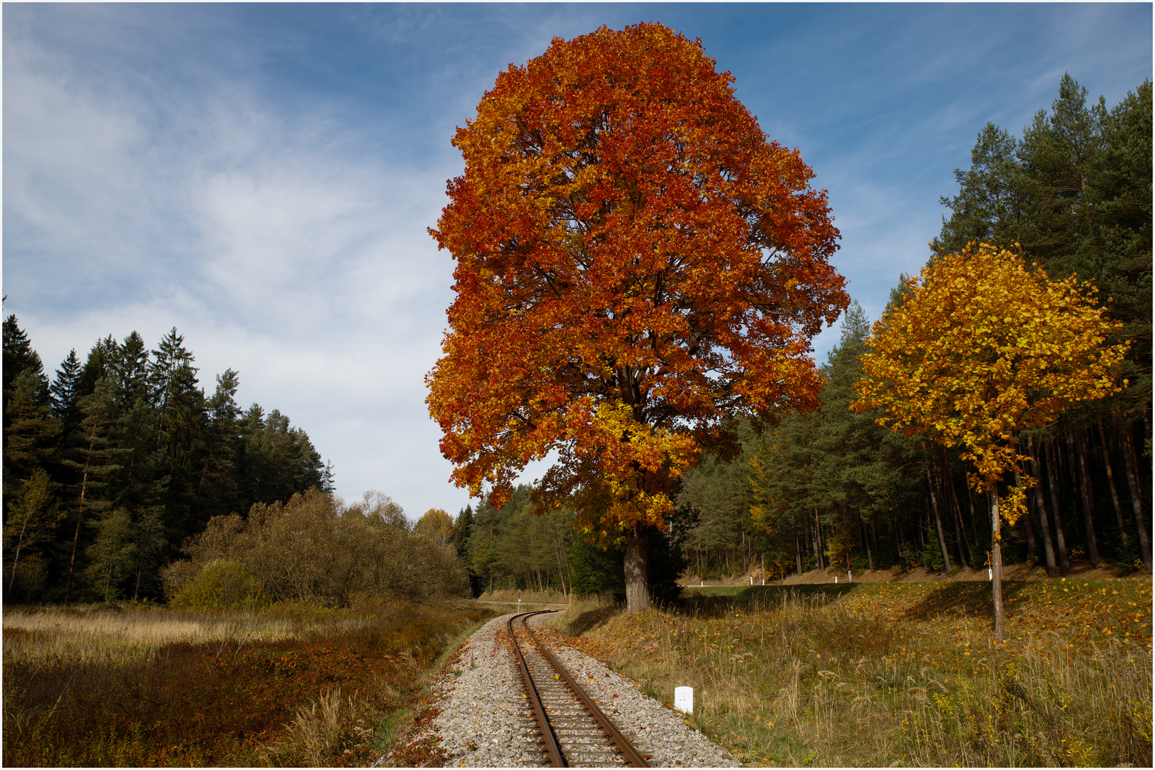 Waldviertler Herbst