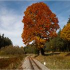 Waldviertler Herbst