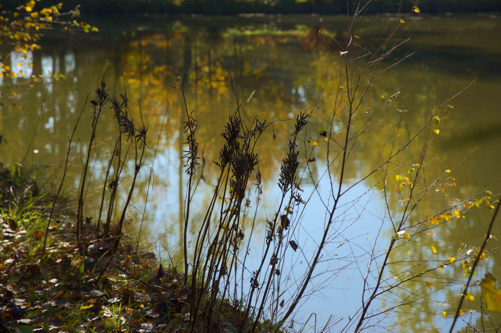 Waldviertler Herbst (5)