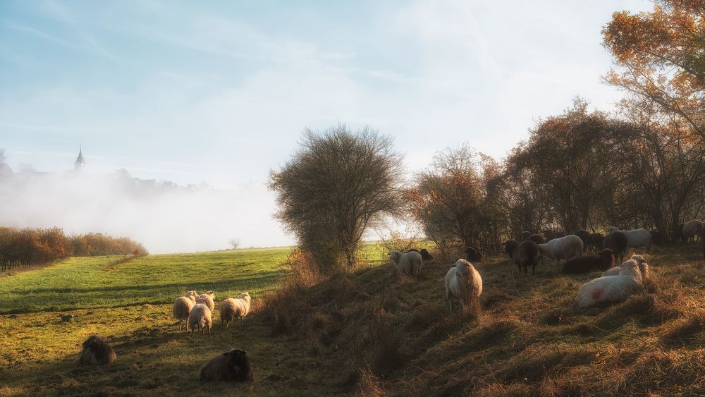 Waldviertler Herbstidylle