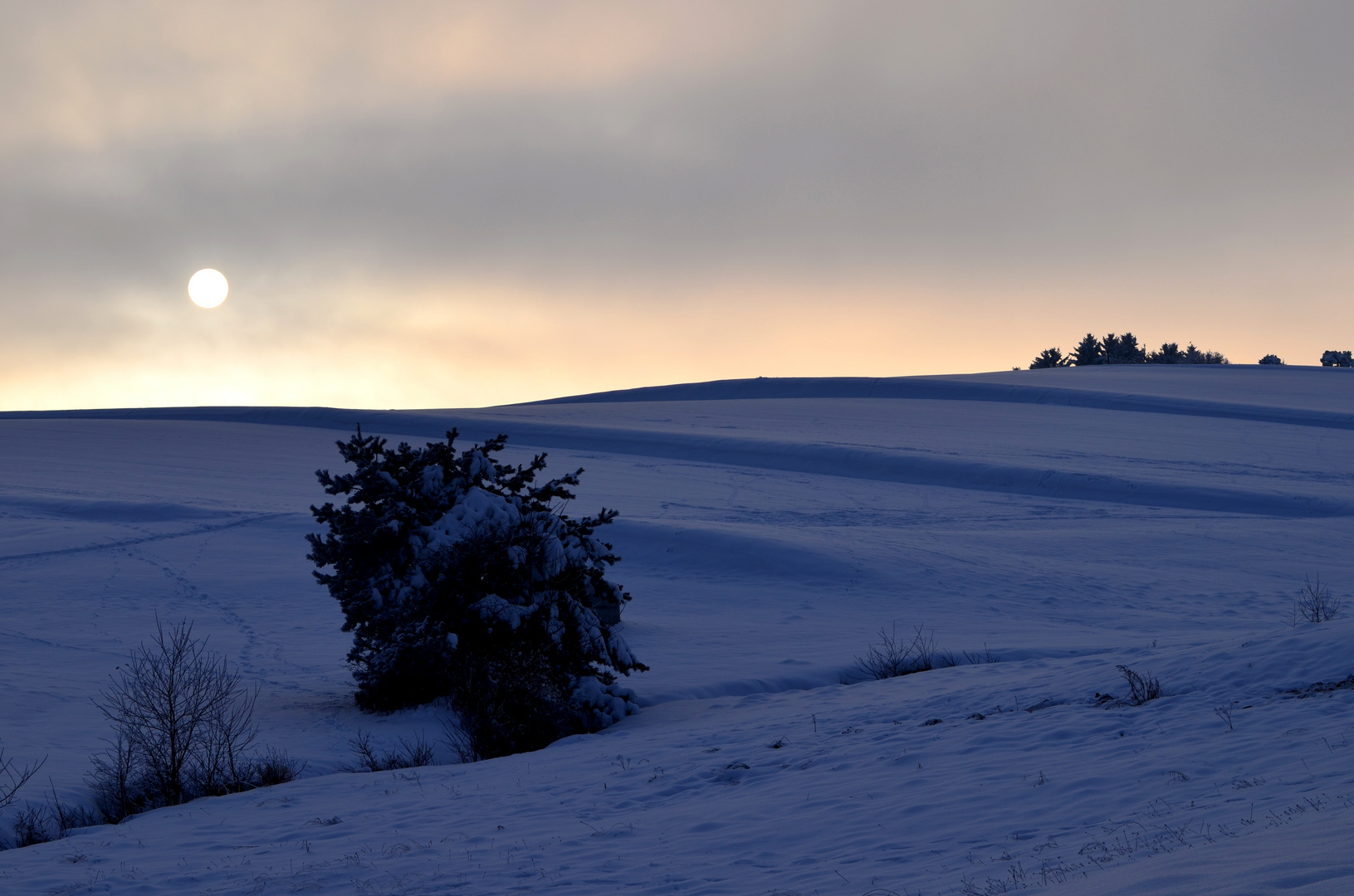 Waldviertler Hügelland b. Gr.Gerungs