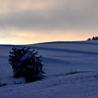 Waldviertler Hügelland b. Gr.Gerungs