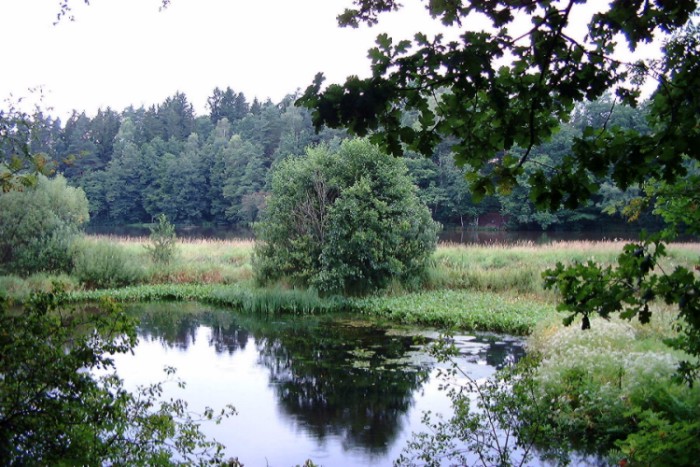 Waldviertler Idylle I