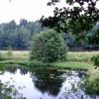 Waldviertler Idylle I