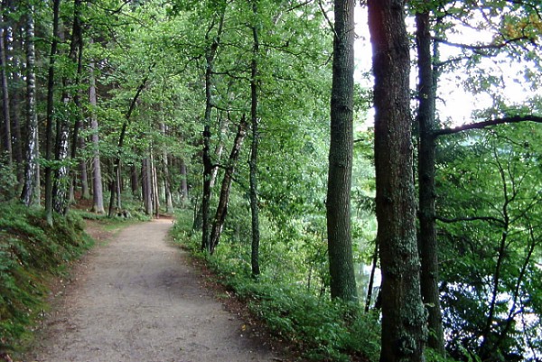 Waldviertler Idylle II