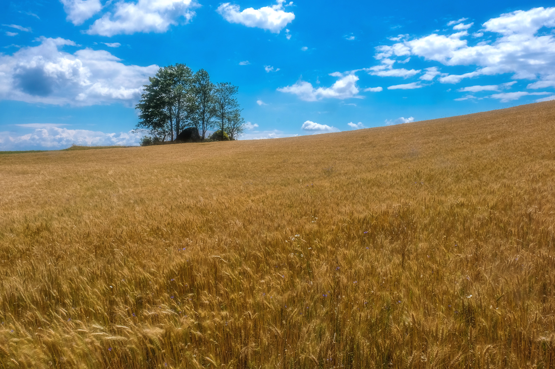 Waldviertler Impression