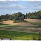 Waldviertler Landschaft