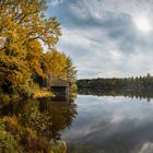 Waldviertler Teich Herbst