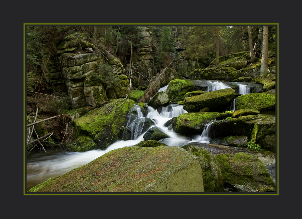 Waldviertler Wasser