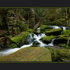 Waldviertler Wasser