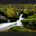 Waldviertler Wasser II