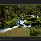 Waldviertler Wasser III