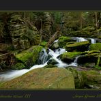 Waldviertler Wasser III