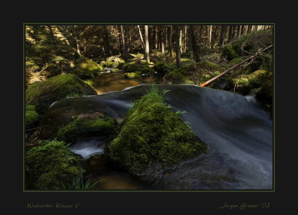 Waldviertler Wasser V