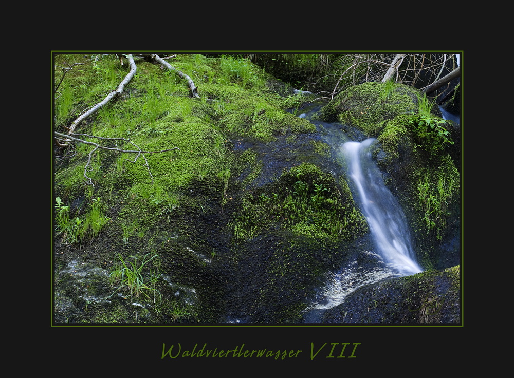 Waldviertler Wasser VIII