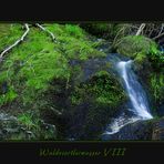 Waldviertler Wasser VIII